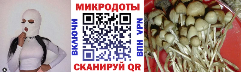 Псилоцибиновые грибы GOLDEN TEACHER  kraken онион  Борисоглебск 